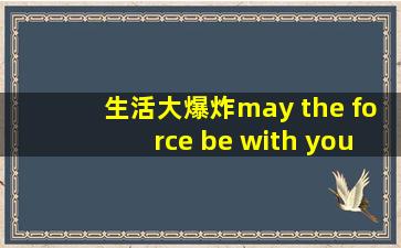 生活大爆炸may the force be with you